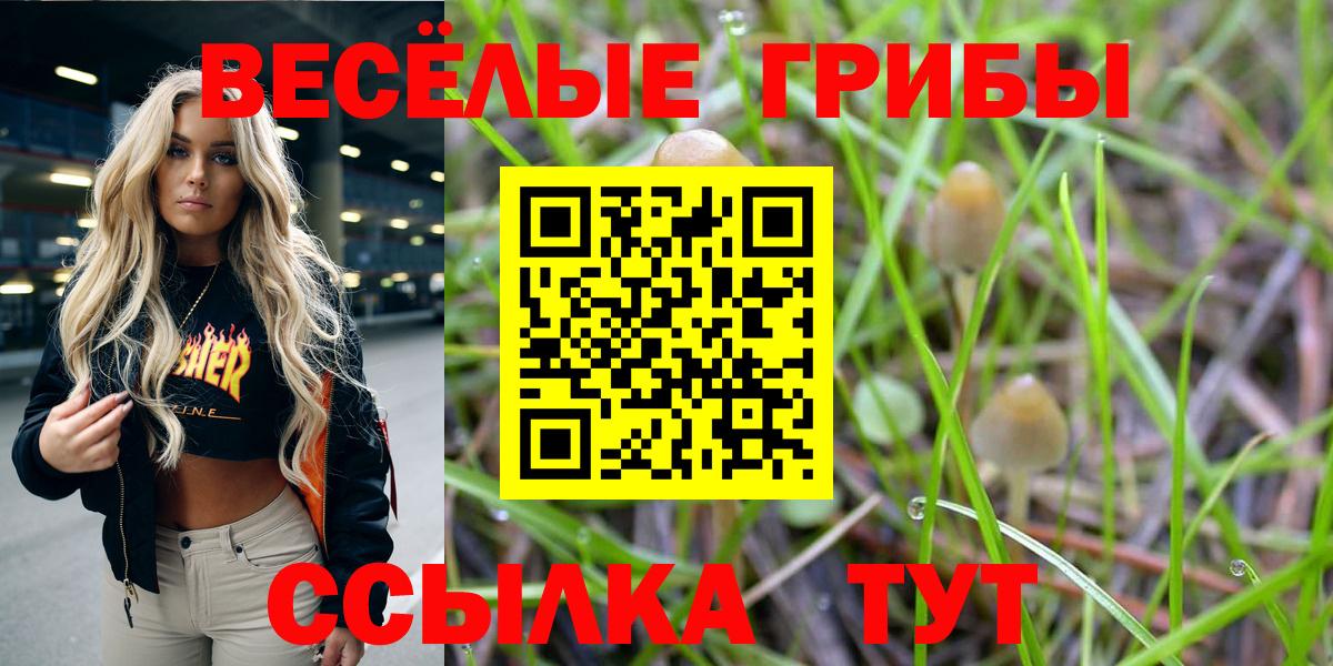 Псилоцибиновые грибы мицелий Оренбург