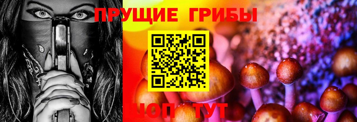 Галлюциногенные грибы ЛСД  Вход с VPN  Галлюциногенные грибы GOLDEN TEACHER  Оренбург 
